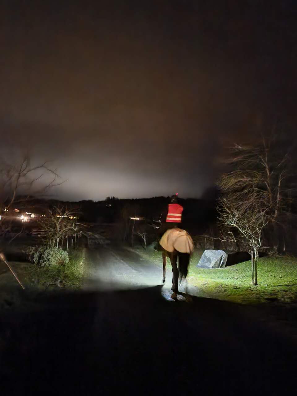 MEOLINQ Light 01 – Multilampa för ridning, friluftsliv och arbete - Bild 7